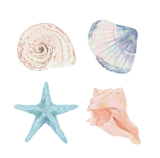 shells